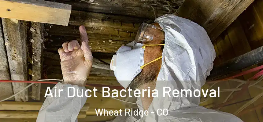  Air Duct Bacteria Removal Wheat Ridge - CO