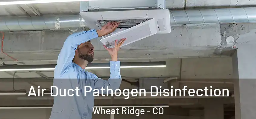  Air Duct Pathogen Disinfection Wheat Ridge - CO