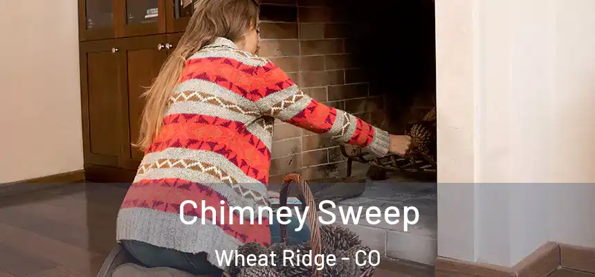  Chimney Sweep Wheat Ridge - CO