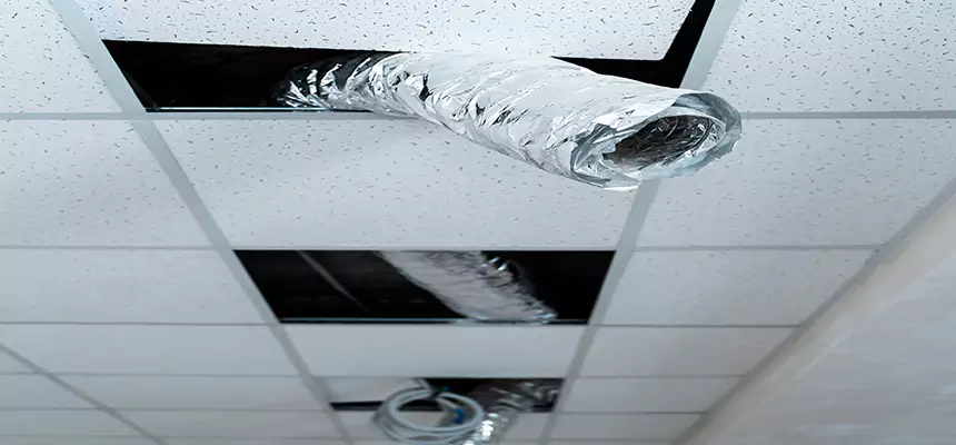 Affordable HVAC Sanitizing After Pest Removal in Wheat Ridge