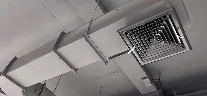 Restorative Allergy Relief Vent Cleaning – Coil, Blower & Housing Detail in Wheat Ridge