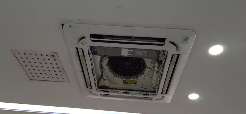 Our Wall Vent Cleaning Service Services in Wheat Ridge, CO