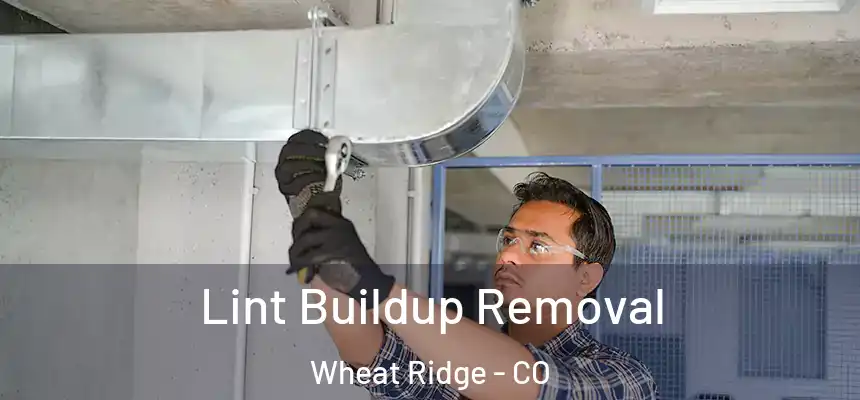  Lint Buildup Removal Wheat Ridge - CO