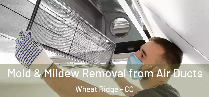  Mold & Mildew Removal from Air Ducts Wheat Ridge - CO