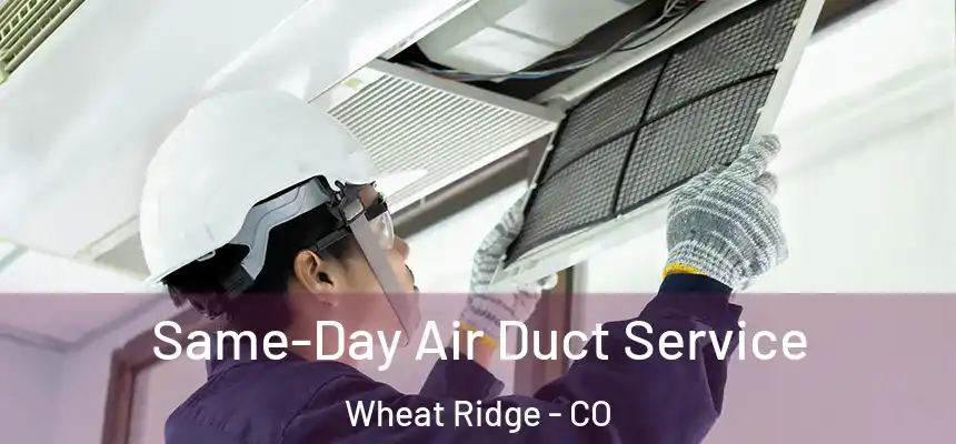  Same-Day Air Duct Service Wheat Ridge - CO
