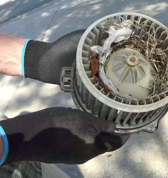 About Air Duct Rat Removal in Wheat Ridge, CO