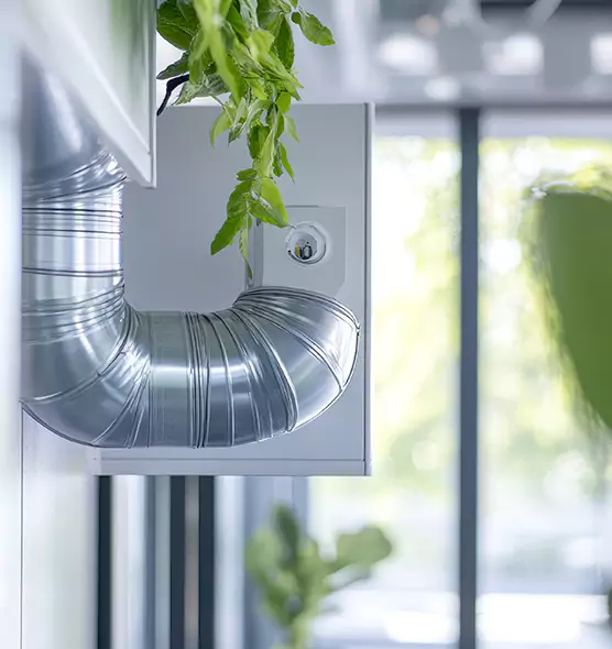 Professional Eco-Safe Dryer Vent Cleaning in Wheat Ridge, CO