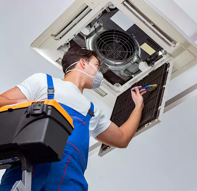 Why Homeowners & Businesses Trust Us in Wheat Ridge, CO?