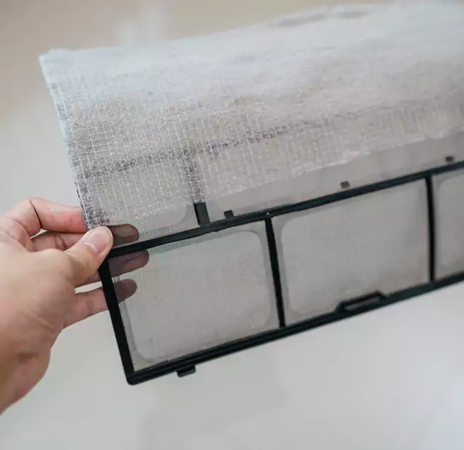 Why Homeowners & Businesses Trust Us in Wheat Ridge, CO?