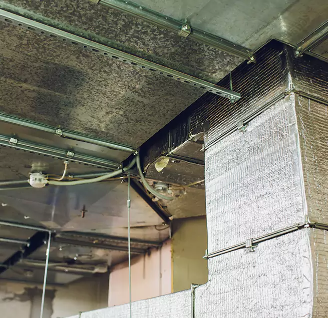 Why Homeowners & Businesses Trust Us in Wheat Ridge, CO?