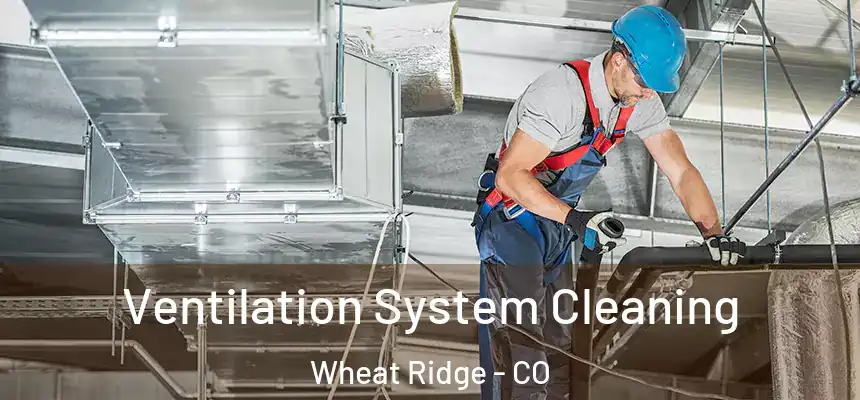 Ventilation System Cleaning Wheat Ridge - CO